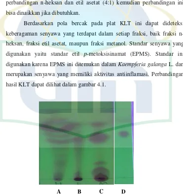 Gambar 4.1. Hasil KLT setiap fraksi dengan eluen n-heksan : etil asetat 