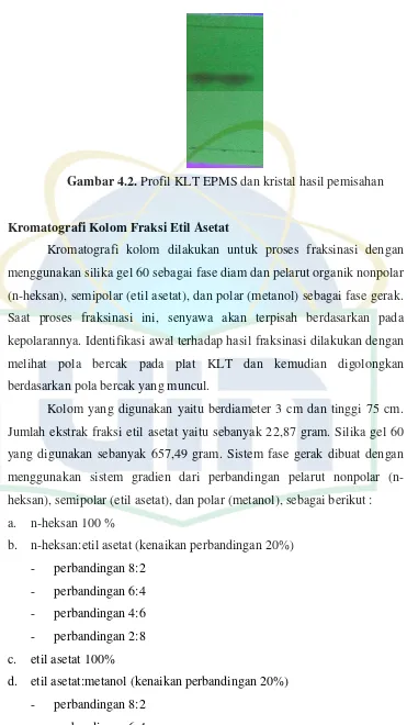 Gambar 4.2. Profil KLT EPMS dan kristal hasil pemisahan 