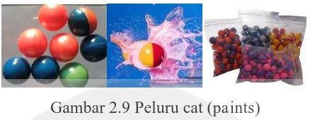 Gambar 2.9 Peluru cat (paints) 