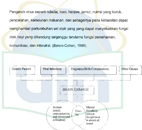 Gambar 1 Penyebab autisme (diadaptasi dari Sri Utami Soedarsono Djamaluddin, 2004) 