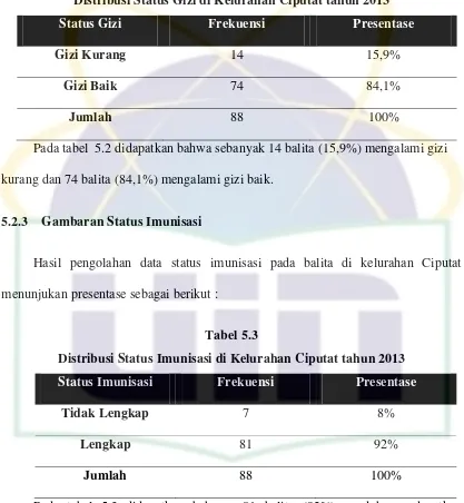 Tabel 5.3 Distribusi Status Imunisasi di Kelurahan Ciputat tahun 2013 