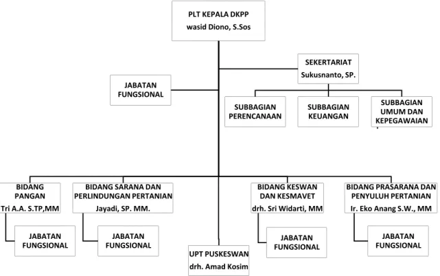 Gambar 2. Struktur Organisasi DKPP 