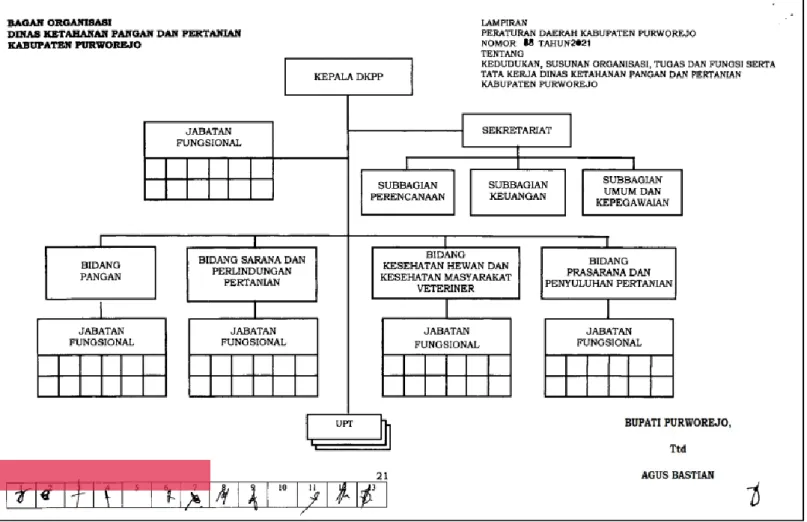 Gambar 1. Bagan struktur organisasi Dinas Ketahanan Pangan dan Pertanian Kabupaten Purworejo  (Sumber: Perbup Purworejo Nomor 88 Tahun 2021)