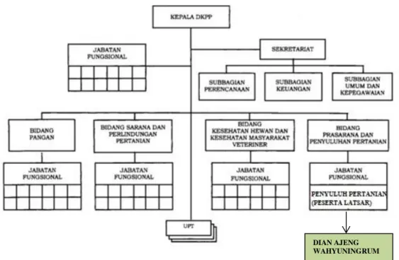 Gambar I- 2 Struktur Organisasi DinKPP  4.  Visi Misi Organisasi 