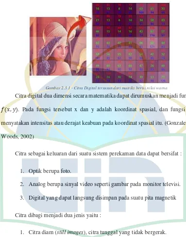 Gambar 2.3.1 - Citra Digital tersusun dari matriks berisi nilai warna 
