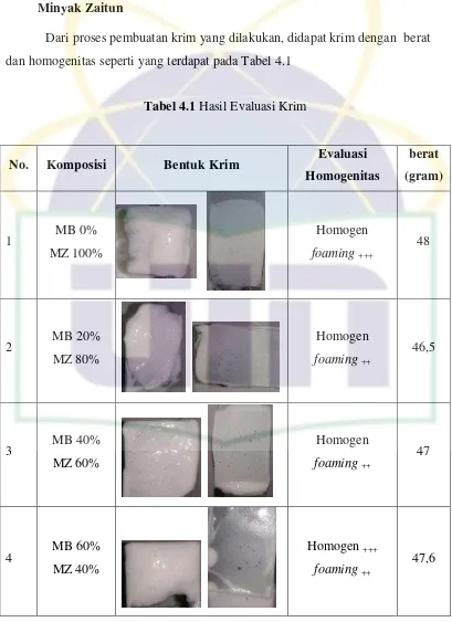 Tabel 4.1 Hasil Evaluasi Krim 