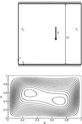 Fig. 6.7 Sketch of natural convection problem