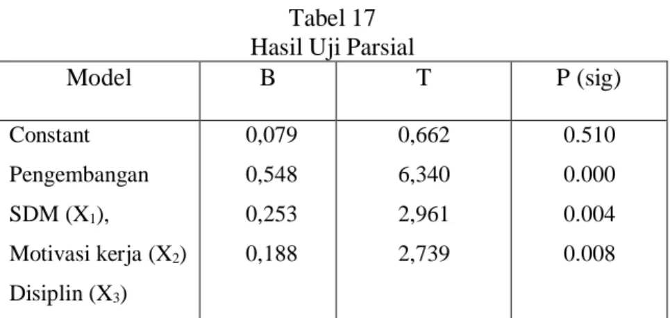 Tabel 17  Hasil Uji Parsial 