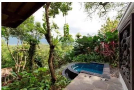 Figure 23. Garden Plunge Pool Source: Plataran, 2017