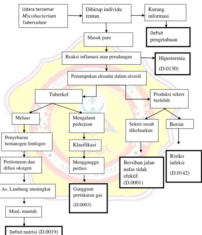 Gambar 2.1 Pathway Tuberkulosis Paru