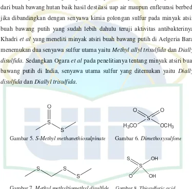 Gambar 7. Methyl methyltiomethyl disulfide     Gambar 8. Thiosulfuric acid