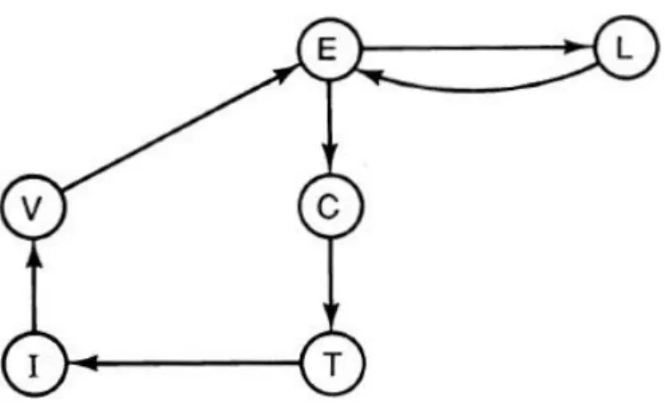 Gambar 6.7 Siklus euler berarah 