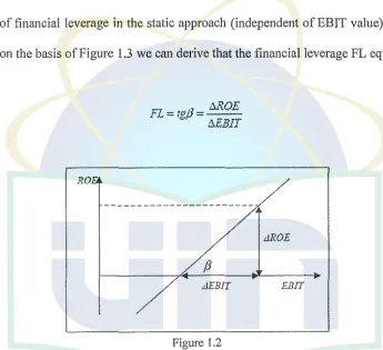 Figure 1.2 Directional factor (slope) ofretum on equity line 