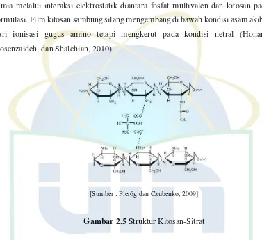 Gambar 2.5 Struktur Kitosan-Sitrat 
