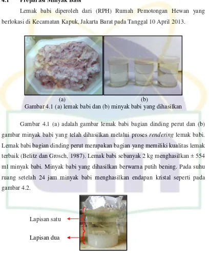 Gambar 4.1 (a) lemak babi dan (b) minyak babi yang dihasilkan 