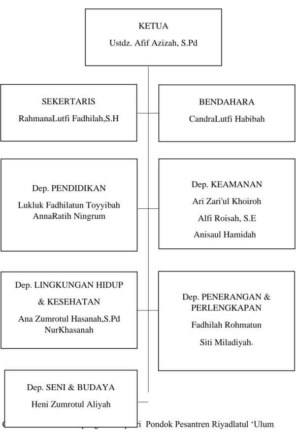 Gambar 3. Struktur kepengurusan putri  Pondok Pesantren Riyadlatul ‘Ulum  KETUA 