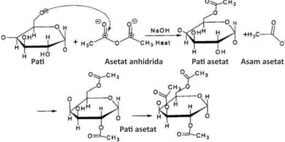 Gambar 21. Reaksi kimia selama asetilasi pati (Miyazaki dkk., 2006)
