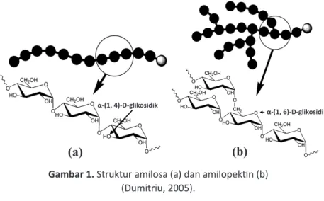 Gambar 1. Struktur amilosa (a) dan amilopektin (b)  (Dumitriu, 2005).