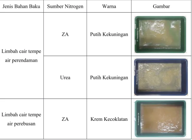 Tabel 4.2 Hasil Pengamatan Warna Nata De Soya Berdasarkan Variasi Jenis Bahan Baku dan Sumber Nitrogen