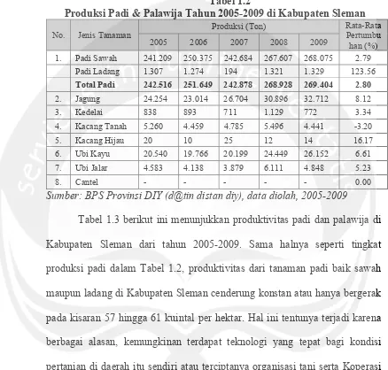 Tabel 1.2  Produksi Padi & Palawija Tahun 2005-2009 di Kabupaten Sleman 