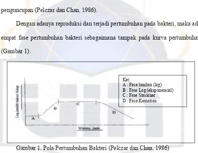Gambar 1. Pola Pertumbuhan Bakteri (Pelczar dan Chan, 1986) 
