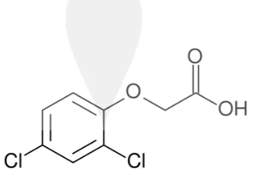 Gambar 5. Struktur Kimia ZPT 2,4-D (Sumber : Abidin, 1985)  