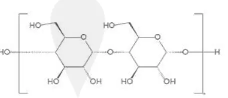 Gambar 2. Struktur Kimia Maltodekstrin (Carareto dkk., 2010) 