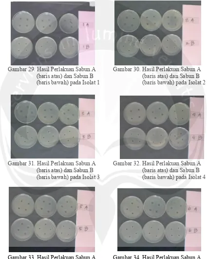 Gambar 34. Hasil Perlakuan Sabun A         (baris atas) dan Sabun B        (baris bawah) pada Isolat 6