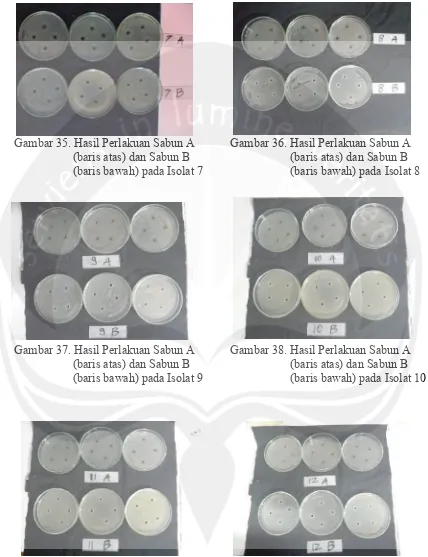 Gambar 35. Hasil Perlakuan Sabun A 