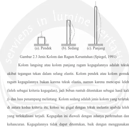 Gambar 2.3 Jenis Kolom dan Ragam Keruntuhan (Spiegel, 1991) 