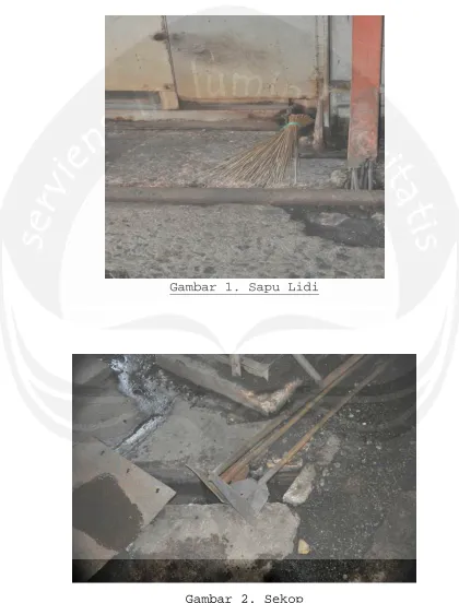 Gambar 1. Sapu Lidi
