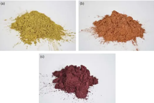 Figure 10.1 (a) Bronze pigment. (b) Copper pigment. (c) Copper pigment.
