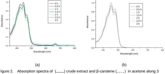 Figure 2.   Absorption spectra of  ( ) crude extract and β-carotene ( )  in acetone along 3  hours storage at polychromatic light 123 lux storage