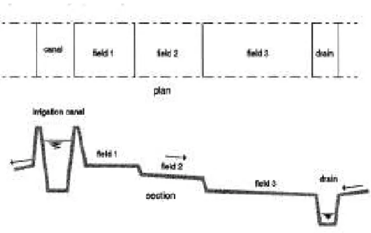Figure 1 Plot by plot irrigation and drainage 