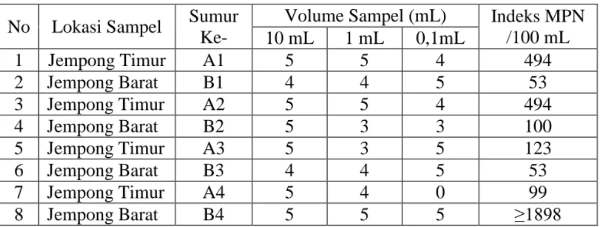 Table  4.3.  di  atas  memperlihatkan  bahwa  tidak  semua  tabung  menunjukkan adanya  asam  dan  gas