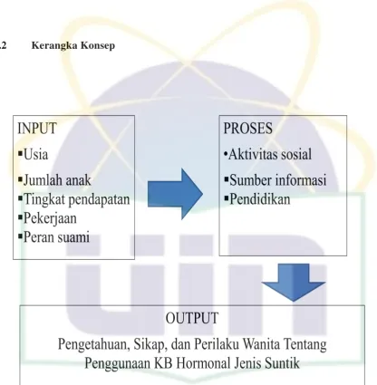 Gambar 2.3 Kerangka konsep 