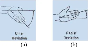 Gambar 2.5. Posisi Deviasi Ulnar (a) dan Posisi Deviasi Radial (b) Pada Pergelangan Tangan 