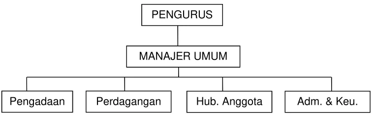 GAMBAR 4 Struktur Manajemen Sentra Distribusi