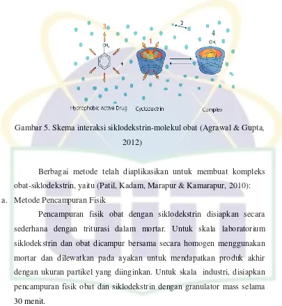 Gambar 5. Skema interaksi siklodekstrin-molekul obat (Agrawal & Gupta, 