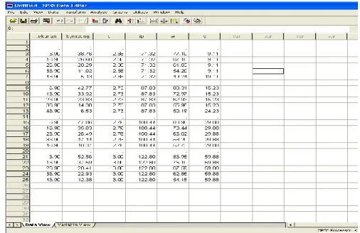 Gambar 4.2 Hasil kopi data penelitian dari Excel. 