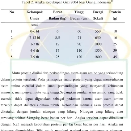 Tabel 2. Angka Kecukupan Gizi 2004 bagi Orang Indonesia16 