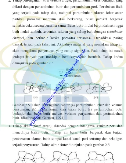 Gambar 2.5 Tahap Pertengahan Sinter (a) pertumbuhan leher dan volume PDFill PDF Editor with Free Writer and Tools
