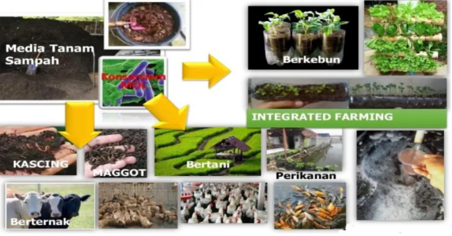 Gambar 7: Pemanfaatan Limbah Organik Segar 