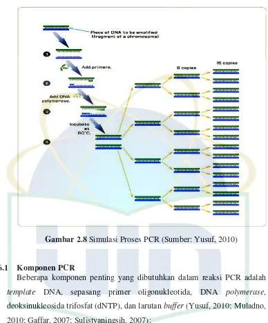 Gambar 2.8 Simulasi Proses PCR (Sumber: Yusuf, 2010) 