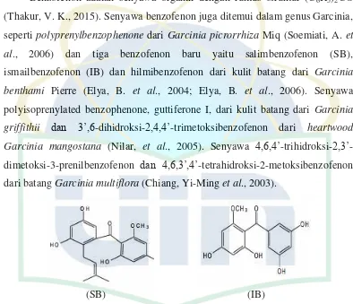 Gambar 2.3 Struktur Salimbenzofenon (SB), Ismailbenzofenon (IB) (Sumber: Elya, B. et 