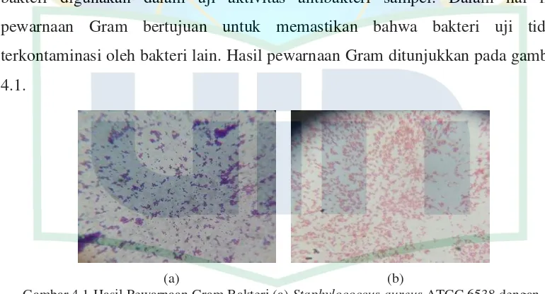 Gambar 4.1 (a) menunjukkan bahwa bakteri yang dibiakkan dalam kultur 