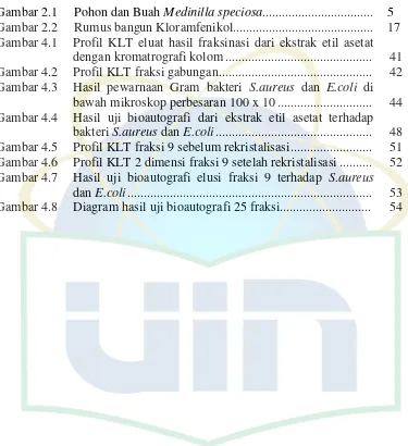 Isolasi Fraksi Aktif Antibakteri Dari Ekstrak Etil Asetat Buah Parijoto ...