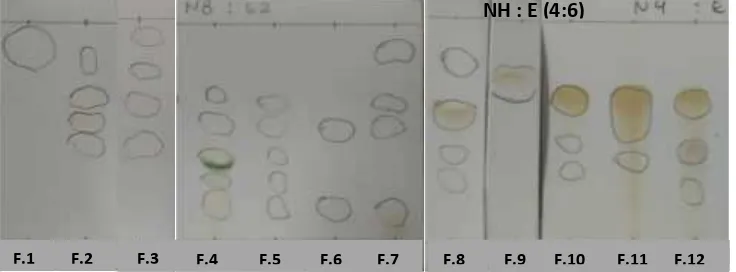 Gambar 4.1. Profil KLT eluat 84 vial hasil fraksinasi dari ekstrak etil asetat
