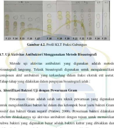 Gambar 4.2. Profil KLT Fraksi Gabungan