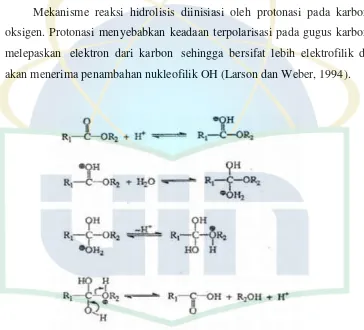 Gambar 2.7 Mekanisme Reaksi Hidrolisis Etil p-metoksisinamat (Mufidah, 